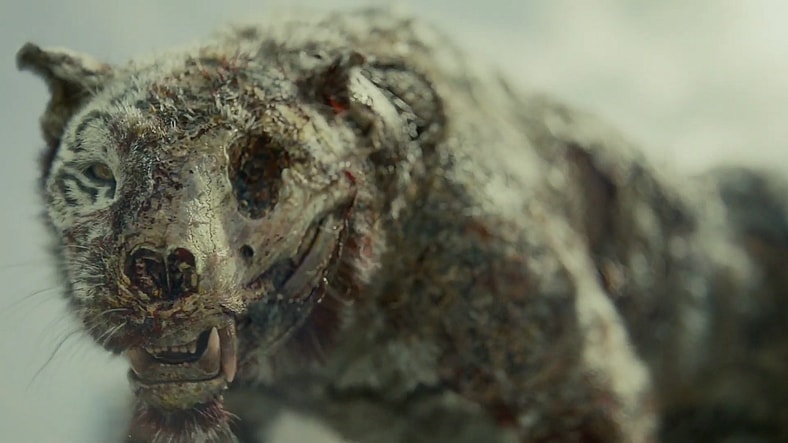 A tiger survived Siegfried & Roy and the apocalypse in Army of the Dead (2021), Netflix