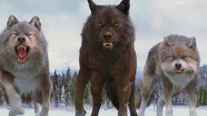 Jacob (Taylor Lautner) and his pack stand united against the Volturi in The Twilight Saga: Breaking Dawn - Part 2 (2012), Lionsgate