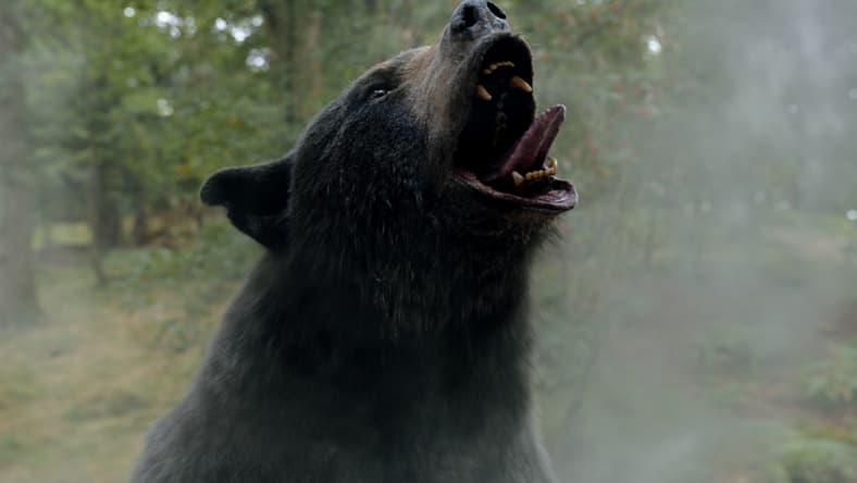 Cocaine Bear, directed by Elizabeth Banks. © 2023 Universal Studios. All Rights Reserved.
