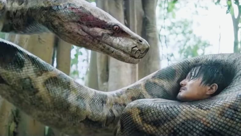 Chinese Anaconda