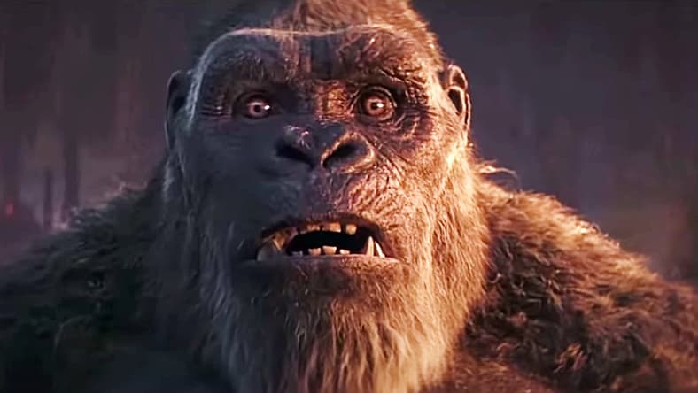 Kong-reaction