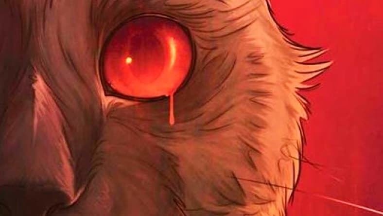The cat's eye
