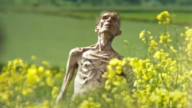Cillian Murphy returns for the catering (or does he?) in 28 Years Later (2025), Sony Pictures