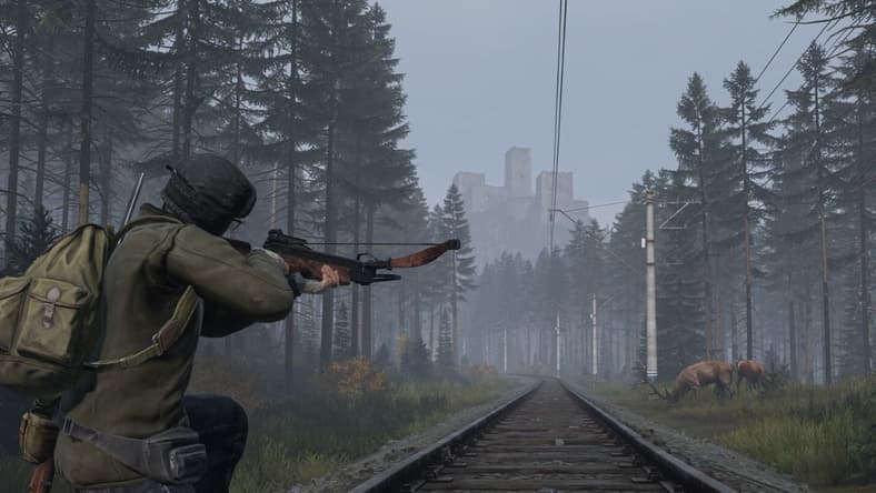 Most Complex Survival Games DayZ (2018), Bohemia Interactive, Screenshot via Steam