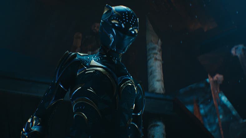 'Bass Reeves: West Of Hell' Artist David Williams Says Not Recasting T'Challa Is "Disrespectful To