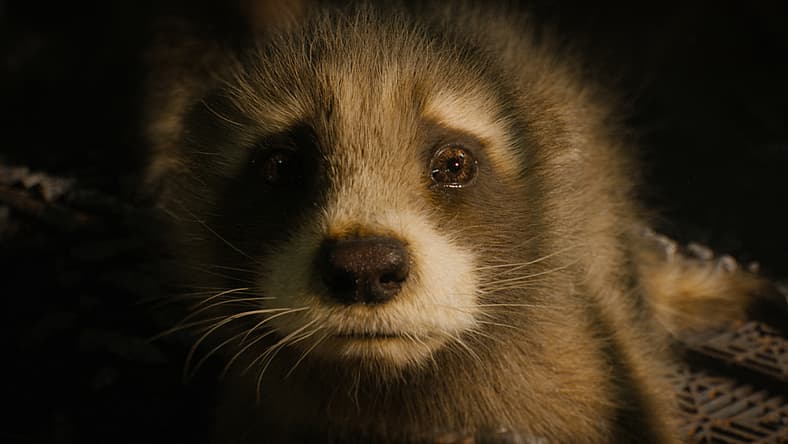 'Guardians Of The Galaxy Vol. 3' Opening Weekend Box Office Falls Short Of Initial Projections