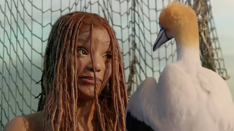 Ariel (Halle Bailey) speaks with Scuttle (Awkwafina) after gaining legs in The Little Mermaid