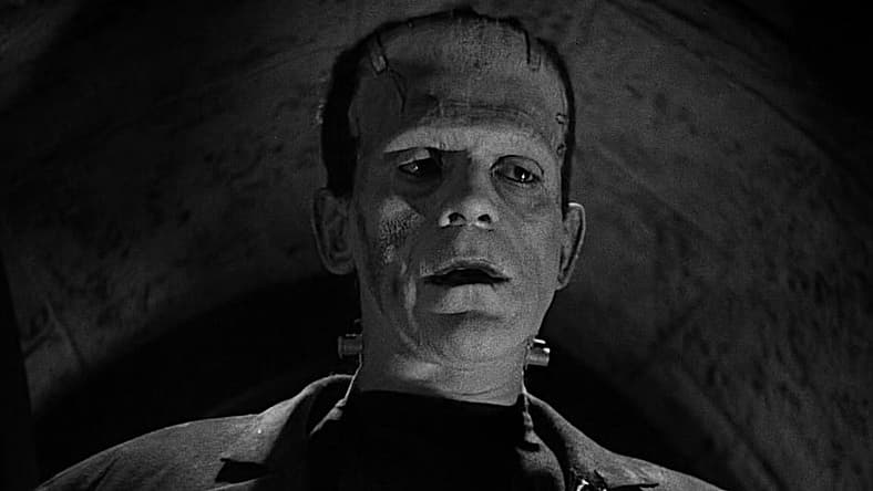 Rumor: Starring Roles In Guillermo Del Toro's ‘Frankenstein’ Adaptation For Netflix Revealed