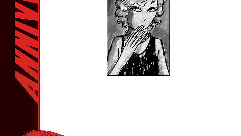 Diary of the Black Widow Cover