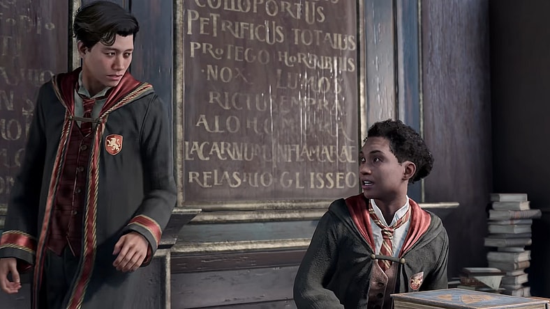 The player character talks to a concerned Natsai Onai via Hogwarts Legacy (2022), Warner Bros. Interactive Entertainment