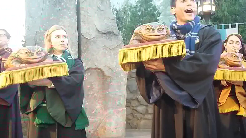Sarah Daniels plays a Slytherin student in the Frog Choir at Universal Studio's Wizarding World of Harry Potter. She expresses annoyance that a Ravenclaw student is attempting to upstage her via YouTube