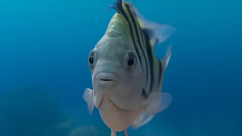 Flounder (Jacob Tremblay) makes his debut in The Little Mermaid (2023), Disney