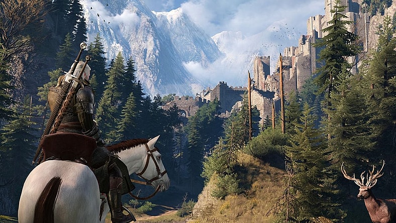 Hilarious Anti-Cheat Punishments The Witcher 3, CD Project Red, Screenshot via Steam