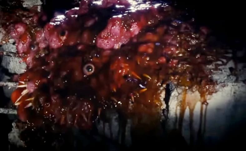 Blood vomiting 