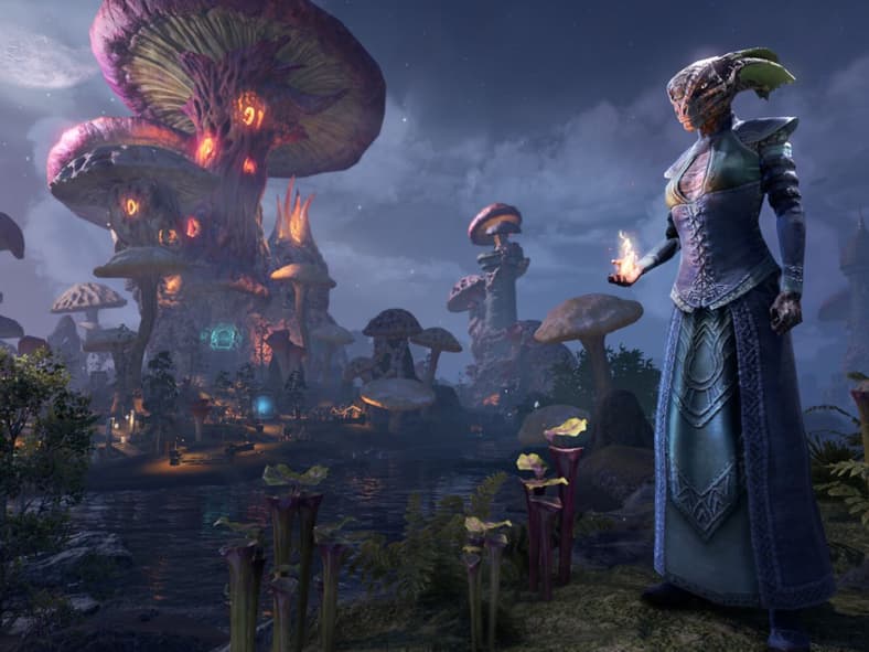 Elder Scrolls Online (2014), Bethesda Softworks, Screenshot via Steam