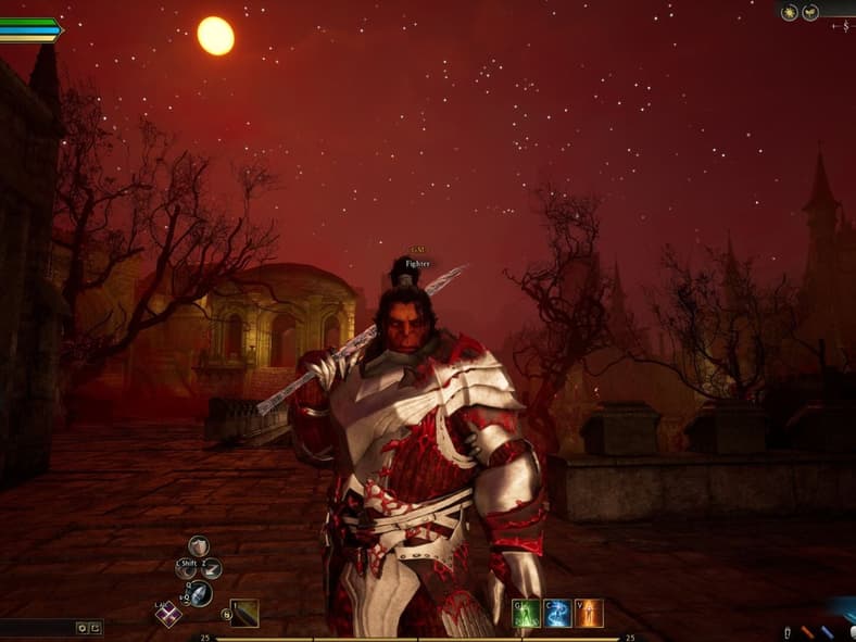 Fighter Ashes of Creation (2025) Intrepid Studios, Inc, Steam