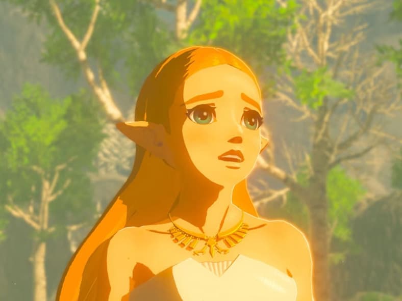 The Legend of Zelda Breath of the Wild, Nintendo, Screenshot via Nintendo