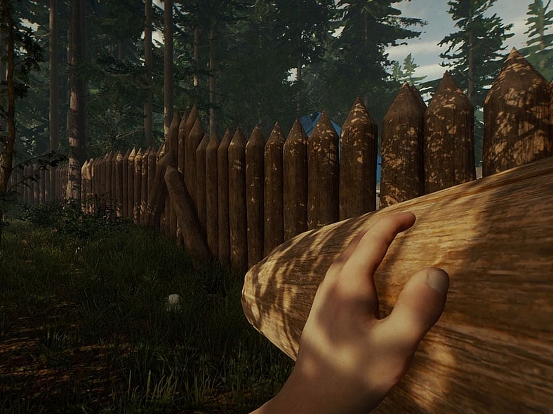 The Forest (2018), Endnight Games, Screenshot via Steam