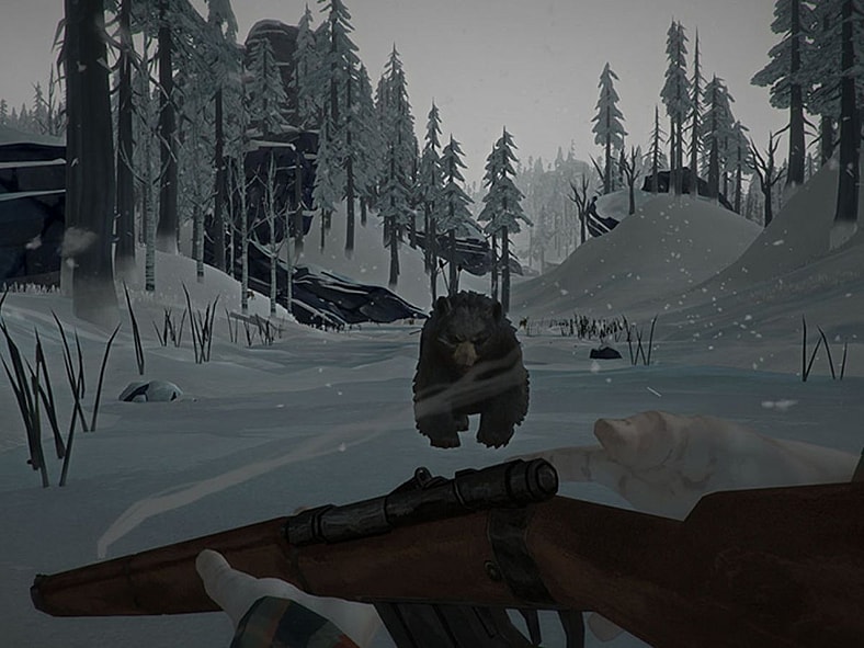 The Long Dark (2017), Hinterland Studio Inc, Screenshot via Official Website
