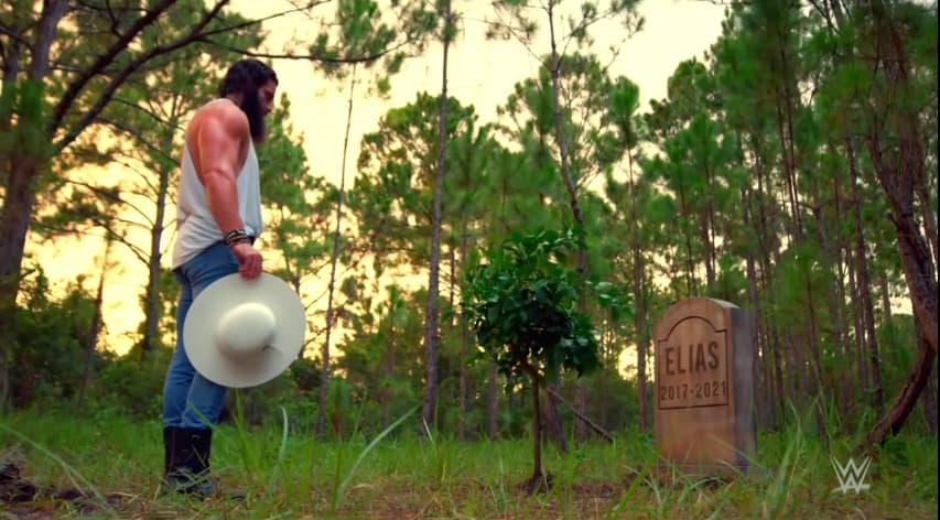 WWE Elias is ready to become a champion, WWE RAW, USA Network