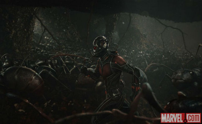 Ant-Man running with ants