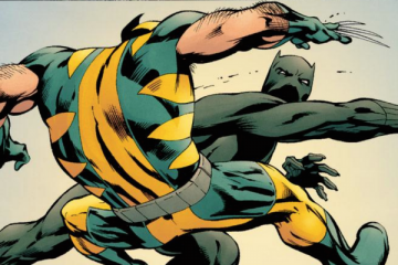Wolverine vs Black Panther