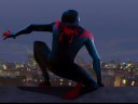 Spider-Man: Into the Spider-Verse