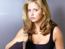 Buffy the Vampire Slayer