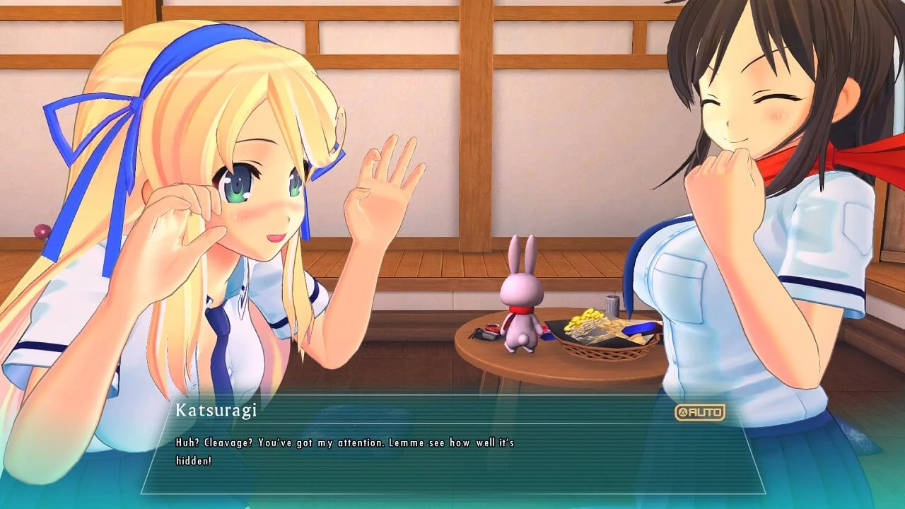 About 18+, H-content, patch? :: SENRAN KAGURA Reflexions General