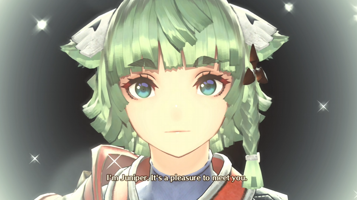 The Gamer Bitterly Insists New Character In 'Xenoblade Chronicles