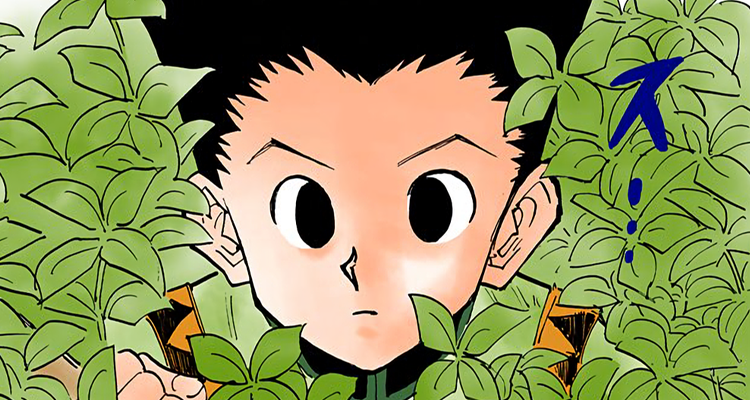 HUNTER x HUNTER Manga Hiatus Yoshihiro Togashi Info