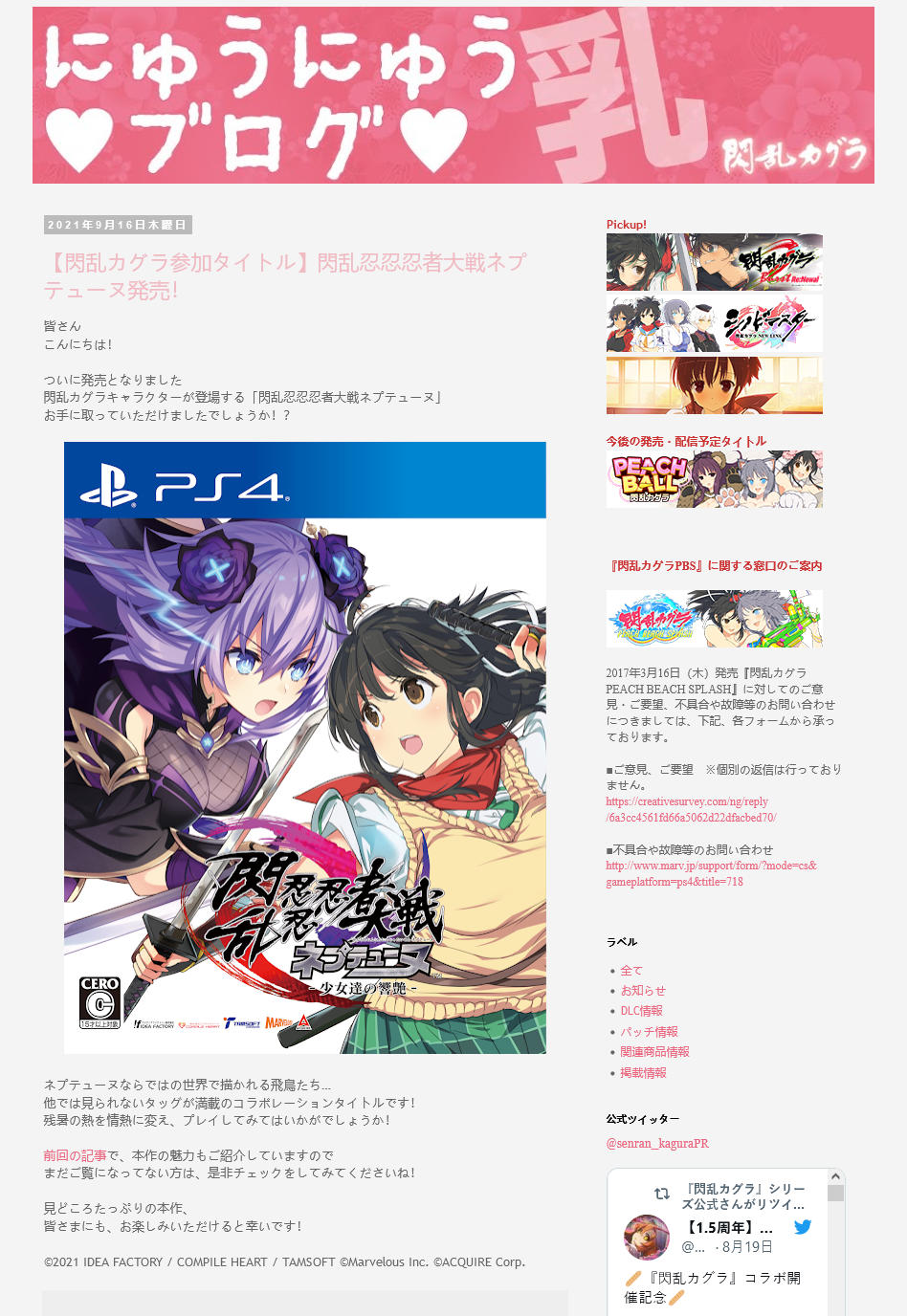 Our next distribution title: Senran Kagura Reflexions! – Limited