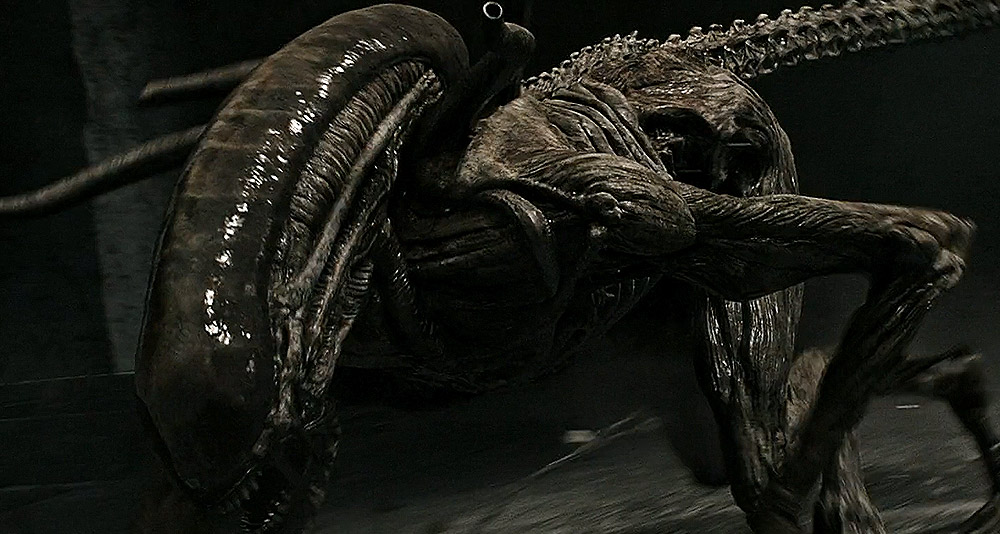 A praetomorph attacks in Alien Covenant, 20th Century Fox