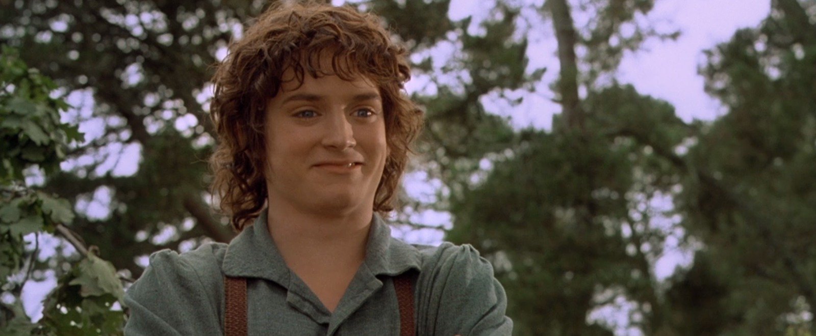 Elijah Wood Shares His Thoughts on New 'Lord of the Rings' Movies