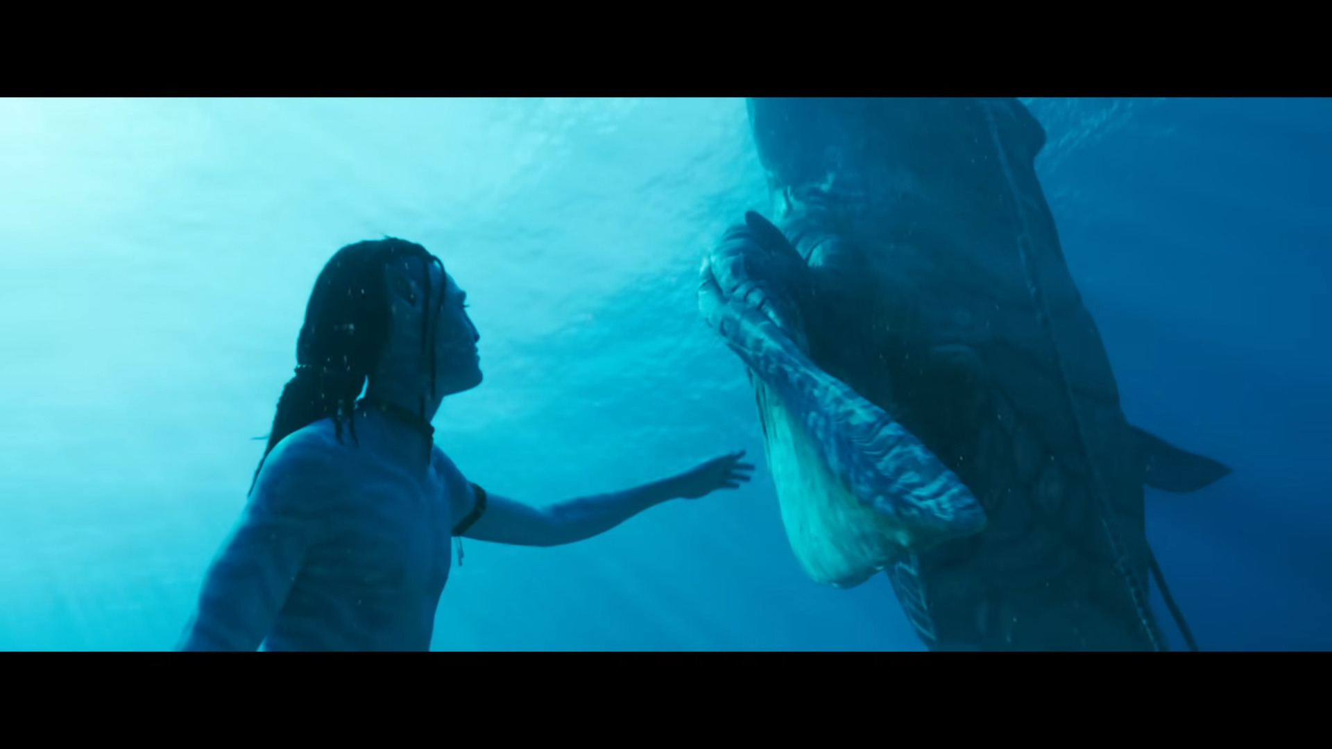 Jake Sully (Sam Worthington) reaches out for a Pandoran whale in Avatar: The Way of Water (2022), Disney via YouTube