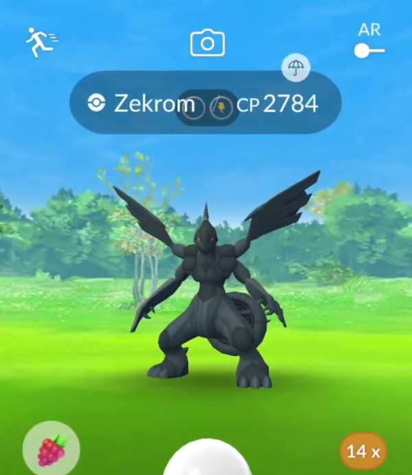 How to get Zekrom in Pokemon GO