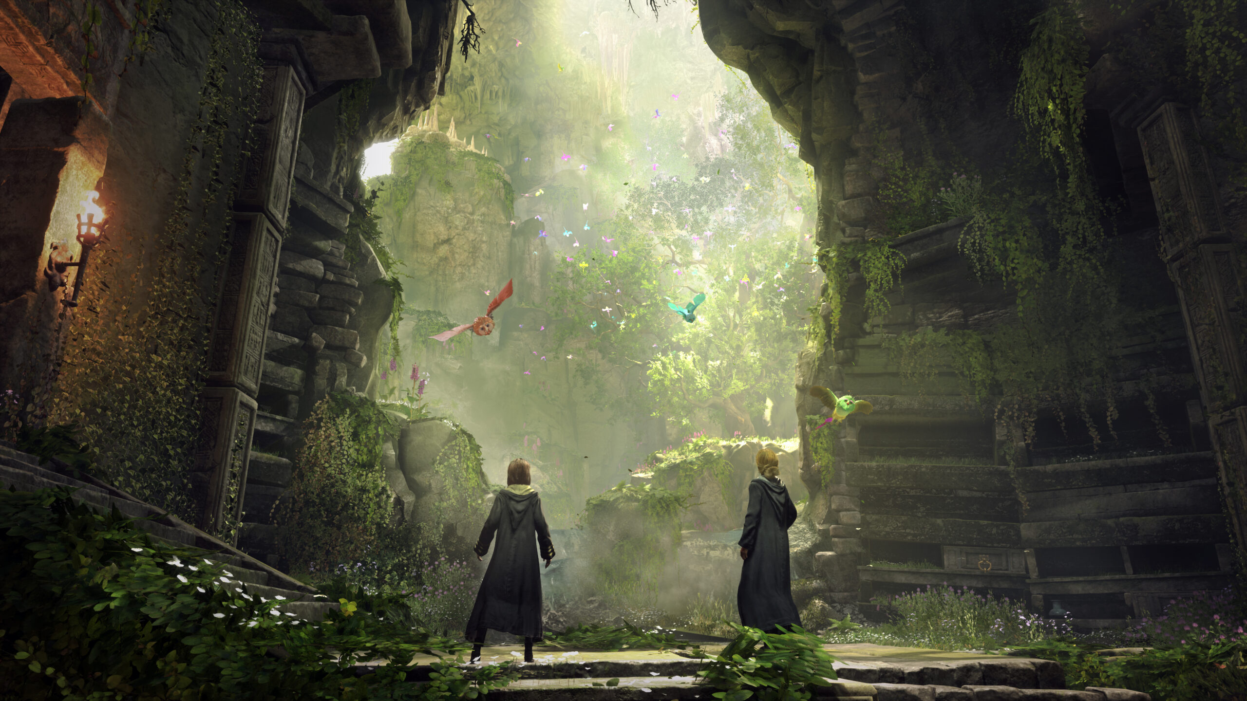 Two students look out onto a cliff amid ruins, covered in plant-life and flocked by multi-colored birds Hogwarts Legacy (2022), Warner Bros. Interactive Entertainment