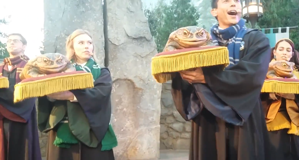 Sarah Daniels plays a Slytherin student in the Frog Choir at Universal Studio's Wizarding World of Harry Potter. She expresses annoyance that a Ravenclaw student is attempting to upstage her via YouTube