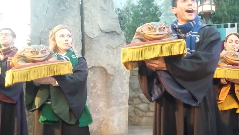 Sarah Daniels plays a Slytherin student in the Frog Choir at Universal Studio's Wizarding World of Harry Potter. She expresses annoyance that a Ravenclaw student is attempting to upstage her via YouTube