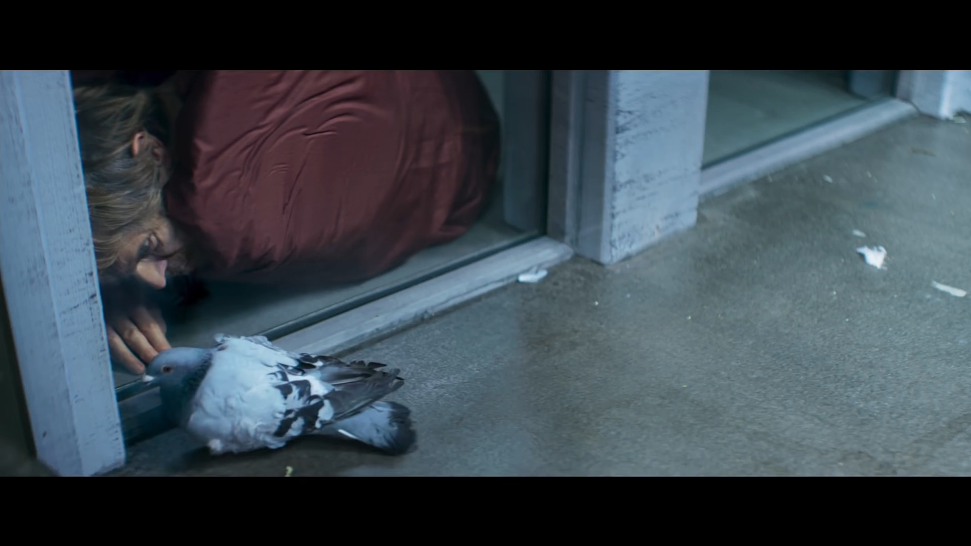 Nemo (Willem Dafoe) converses with a pigeon in Inside (2023), Focus Features