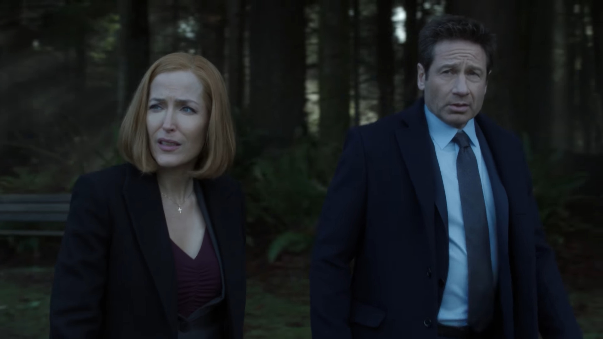 Agent Scully (Gillian Anderson) and Agent Mulder (David Duchovny) make their way to Connecticut in The X-Files Season 11 Episode 8 "Familiar" (2018), 20th Century Studios