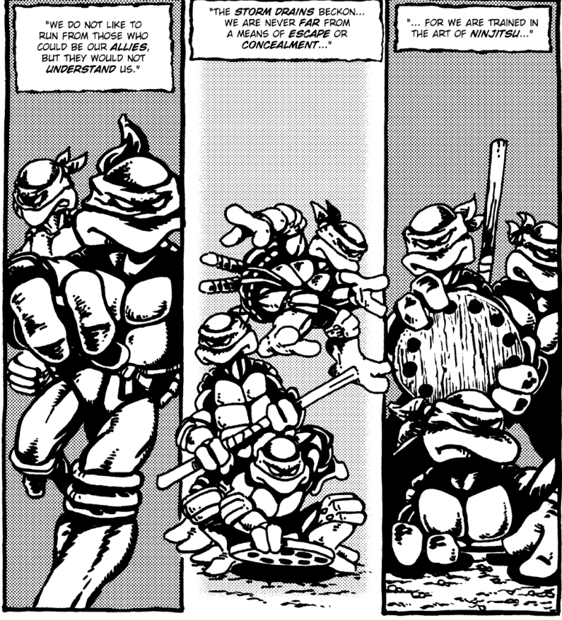 Teenage Mutant Ninja Turtles #1 (1984), Mirage