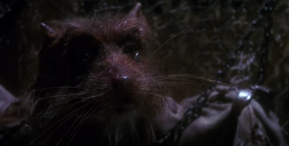 Splinter fala com Danny Pennington em Teenage Mutant Ninja Turtles (1990), New Line Cinema