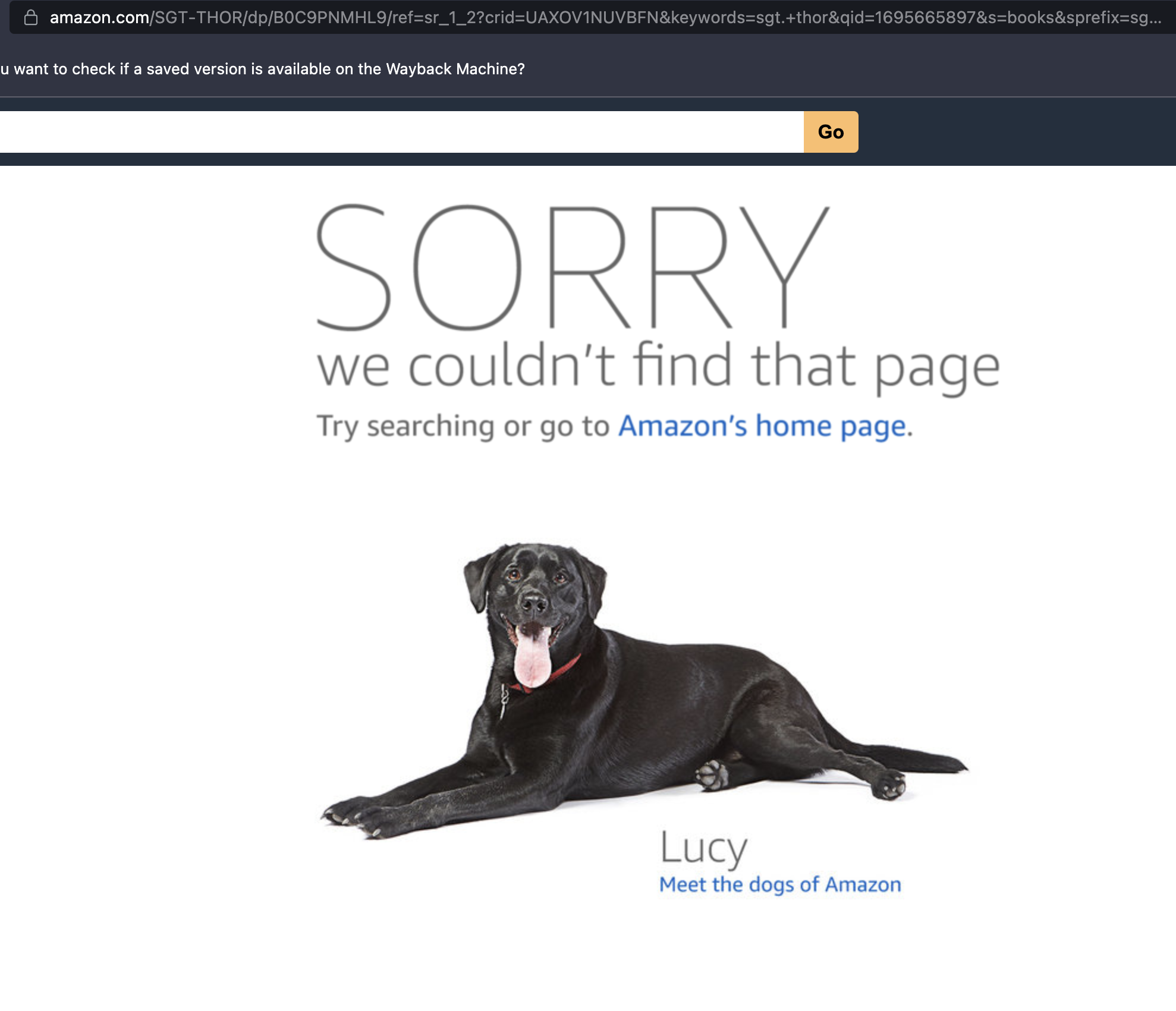 Amazon Deletes PreOrder Sales Of Popular Conservative Authors Nick