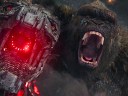 Kong holds MechaGodzilla's head in Godzilla vs. Kong (2021), Warner Bros. Pictures Featured Image