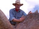 Dr. Alan Grant (Sam Neil) feels the skin of a dinosaur for the first time in Jurassic Park (1993), Universal Pictures