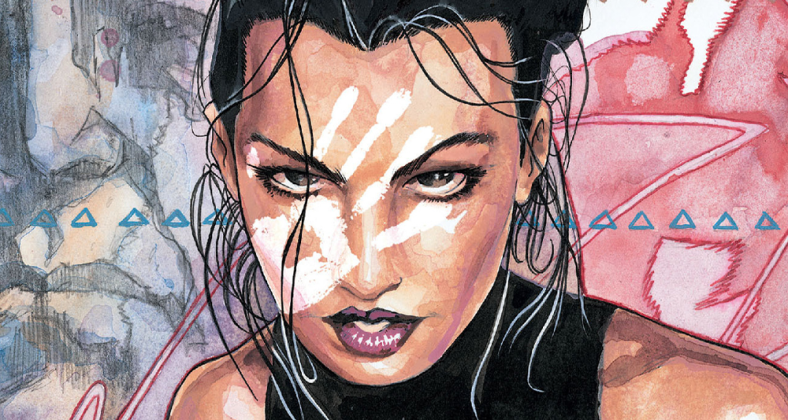 Maya activates her photographic reflexes on Joe Quesada, Jimmy Palmiotti and David Mack's cover to Daredevil Vol. 2 #10 "Echoes!" (1999), Marvel Comics