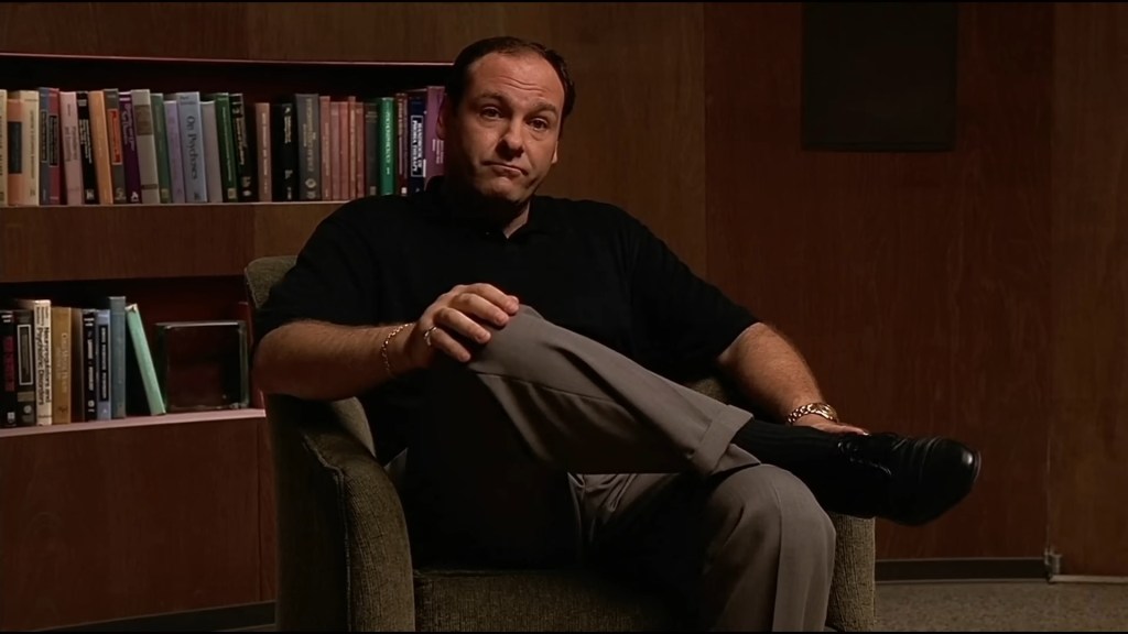 Tony (James Gandolfini) explains to Dr. Melfi (Lorraine Bracco) what he does for work in The Sopranos Season 1 Episode 1 (