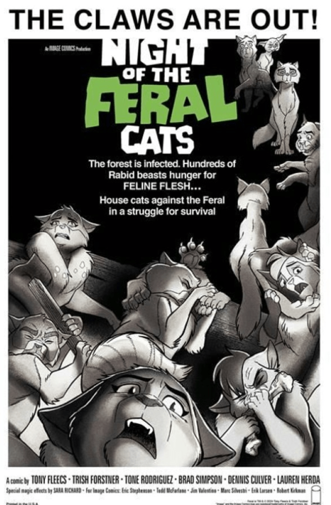 Night of Feral cats