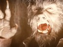 Lawrence Talbot (Benicio del Toro) attacks a frightened hunter in The Wolfman (2010), Universal Pictures